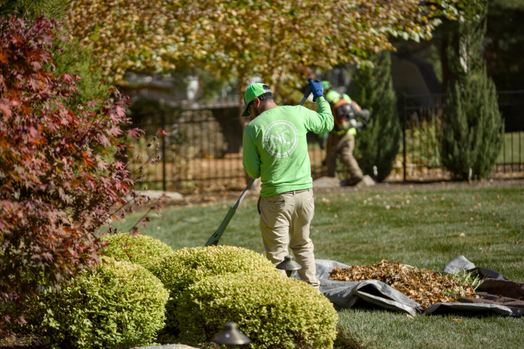 New Castle Crew Member Raking Leaves