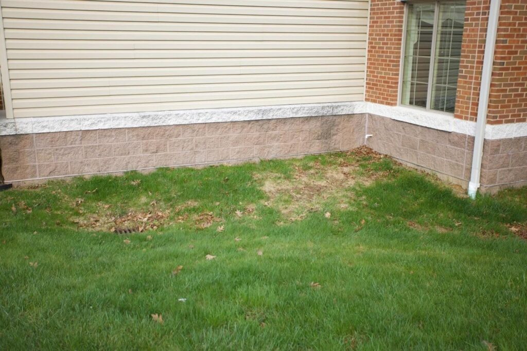 Yard with leaves on lawn