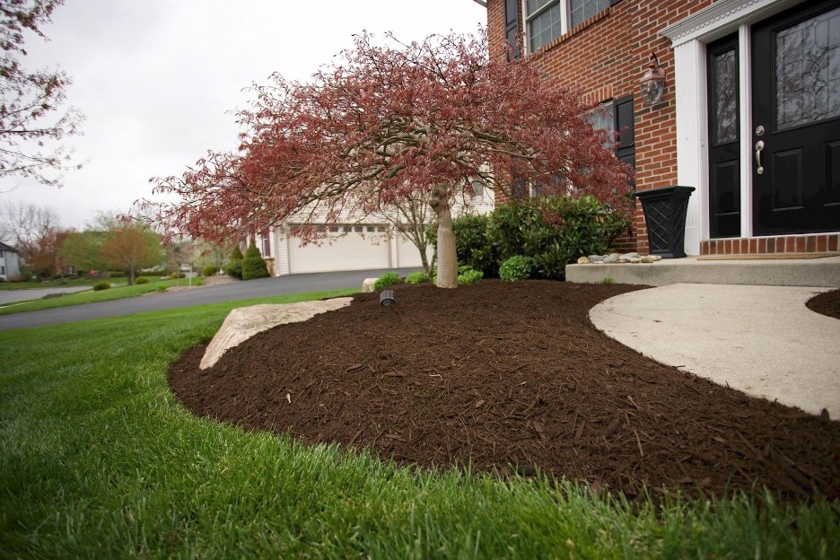 tree diseases in pennsylvania