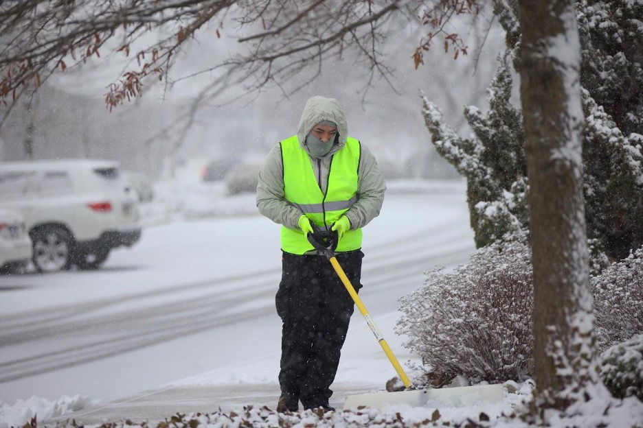 Winter frost protection for plants