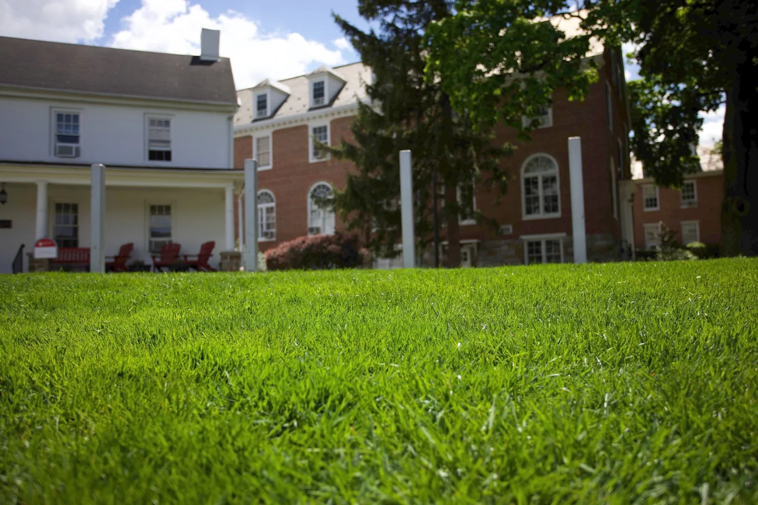 a lush green lawn after aeration.