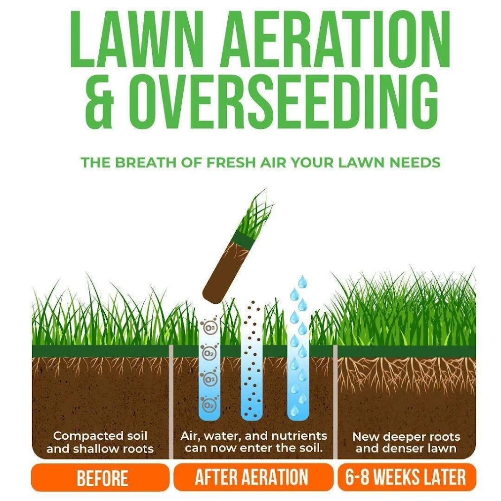 an infographic explaining the lawn aeration and overseeding process.